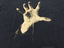 System Of A Down 1998 'Hand Logo' L *Heavy Fade*