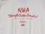 N.W.A '88 'Straight Outta Compton Ruthless / Priority Records Promo' Large *RARE*